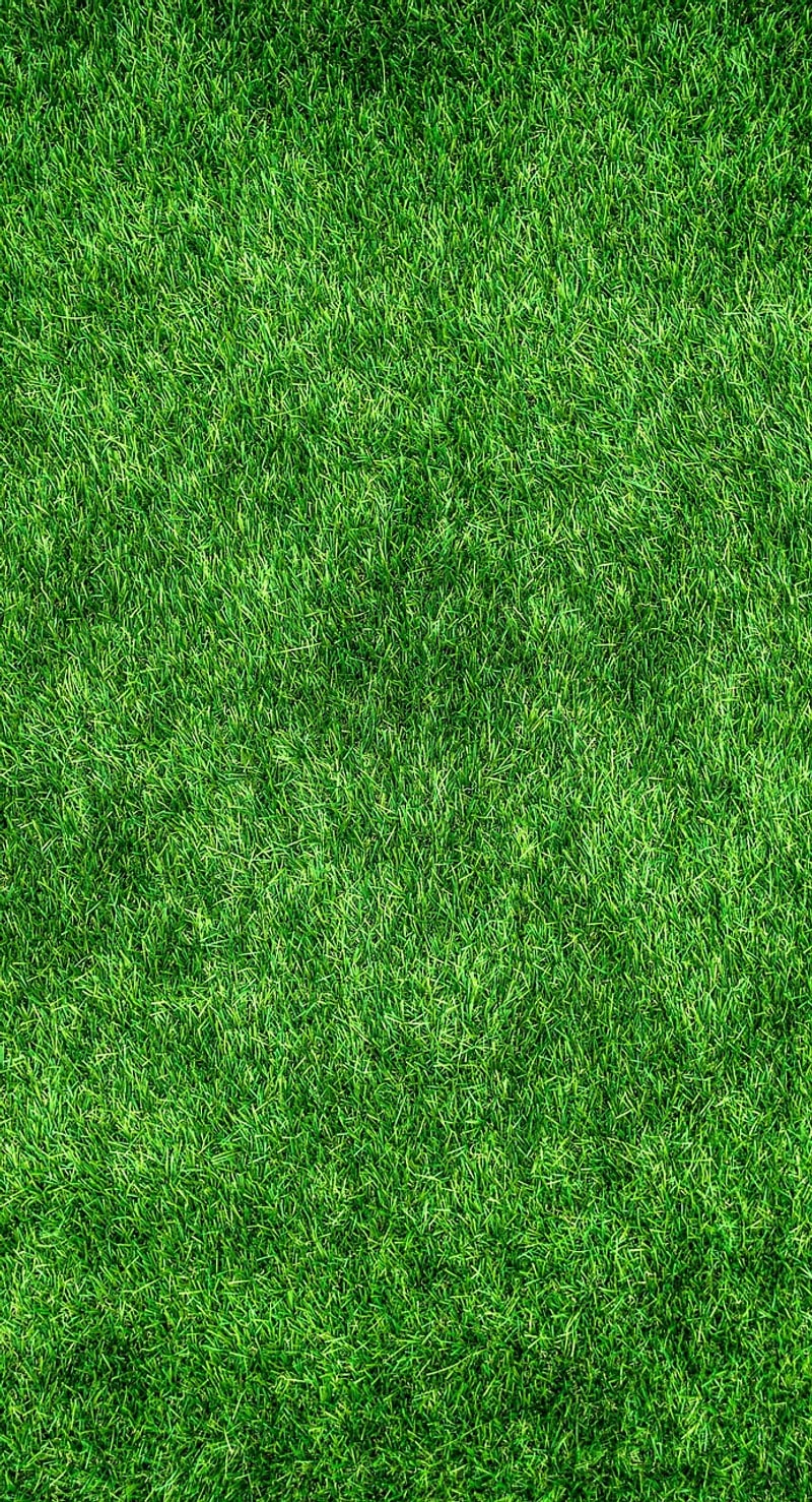 Eco-Friendly Interior Design